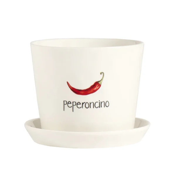 Simple Day Vaso Peperoncino, con sottovaso